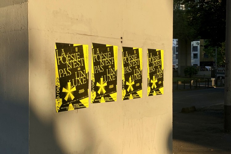 La po&eacute;sie n'est pas un luxe*